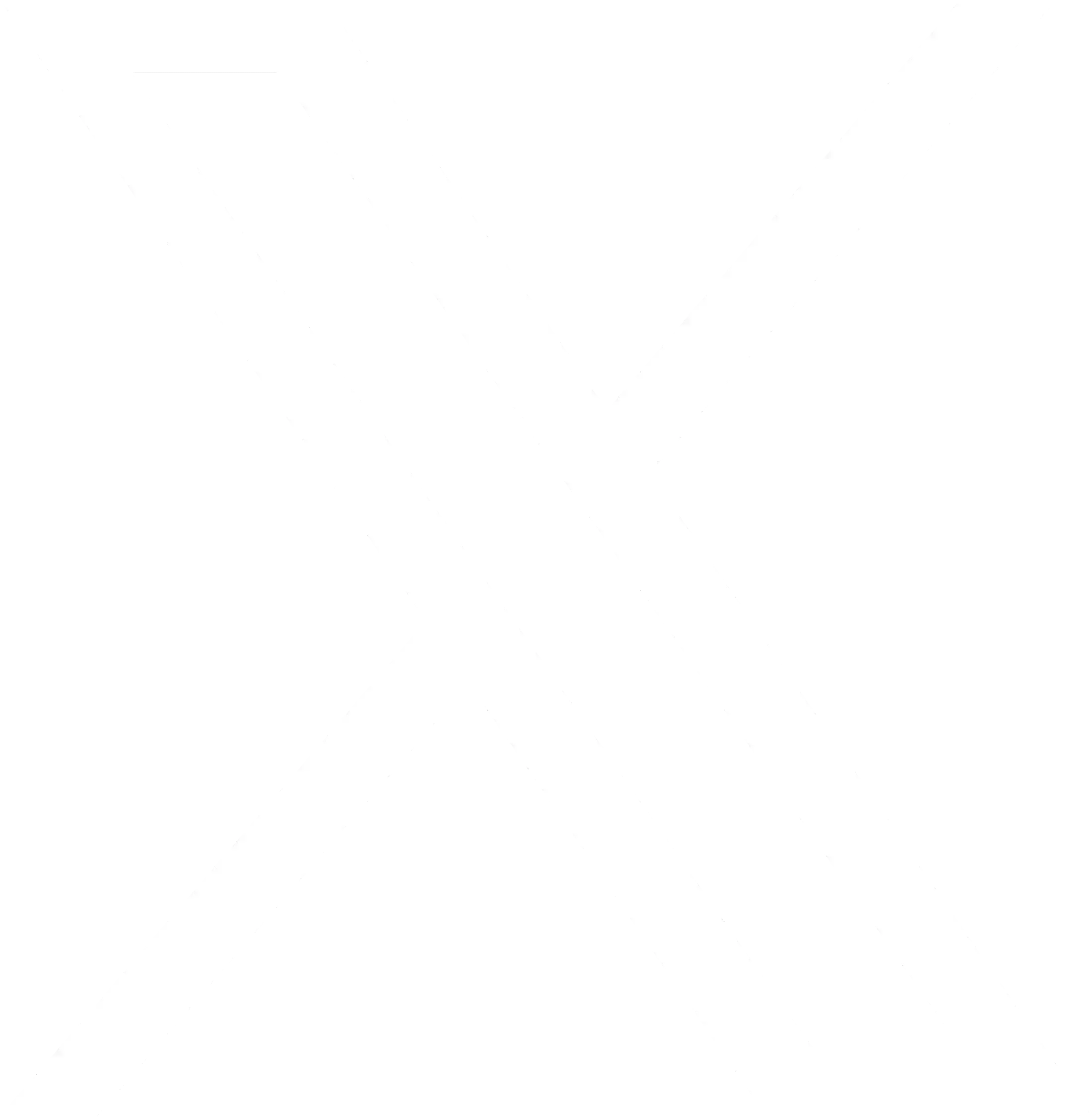 X (Twitter)